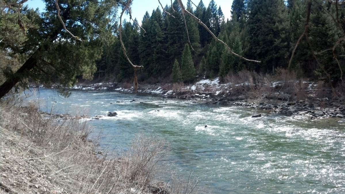 Blackfoot Fishing Report Dixon Adventures