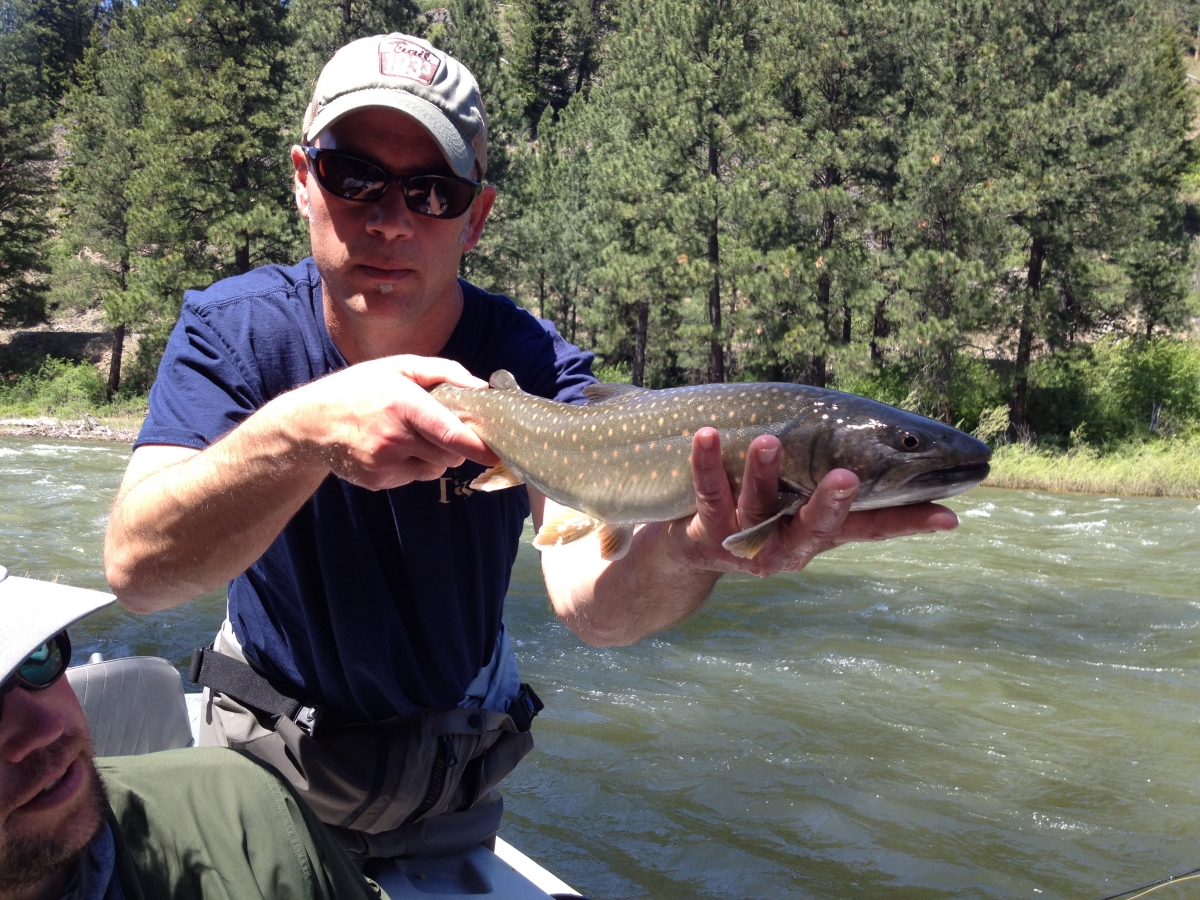 Blackfoot Fishing Report Dixon Adventures