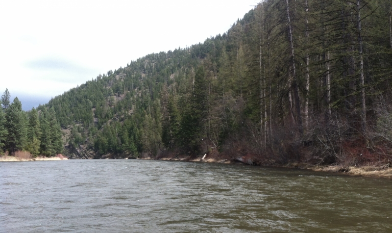 blackfoot-river-fishing-report-05