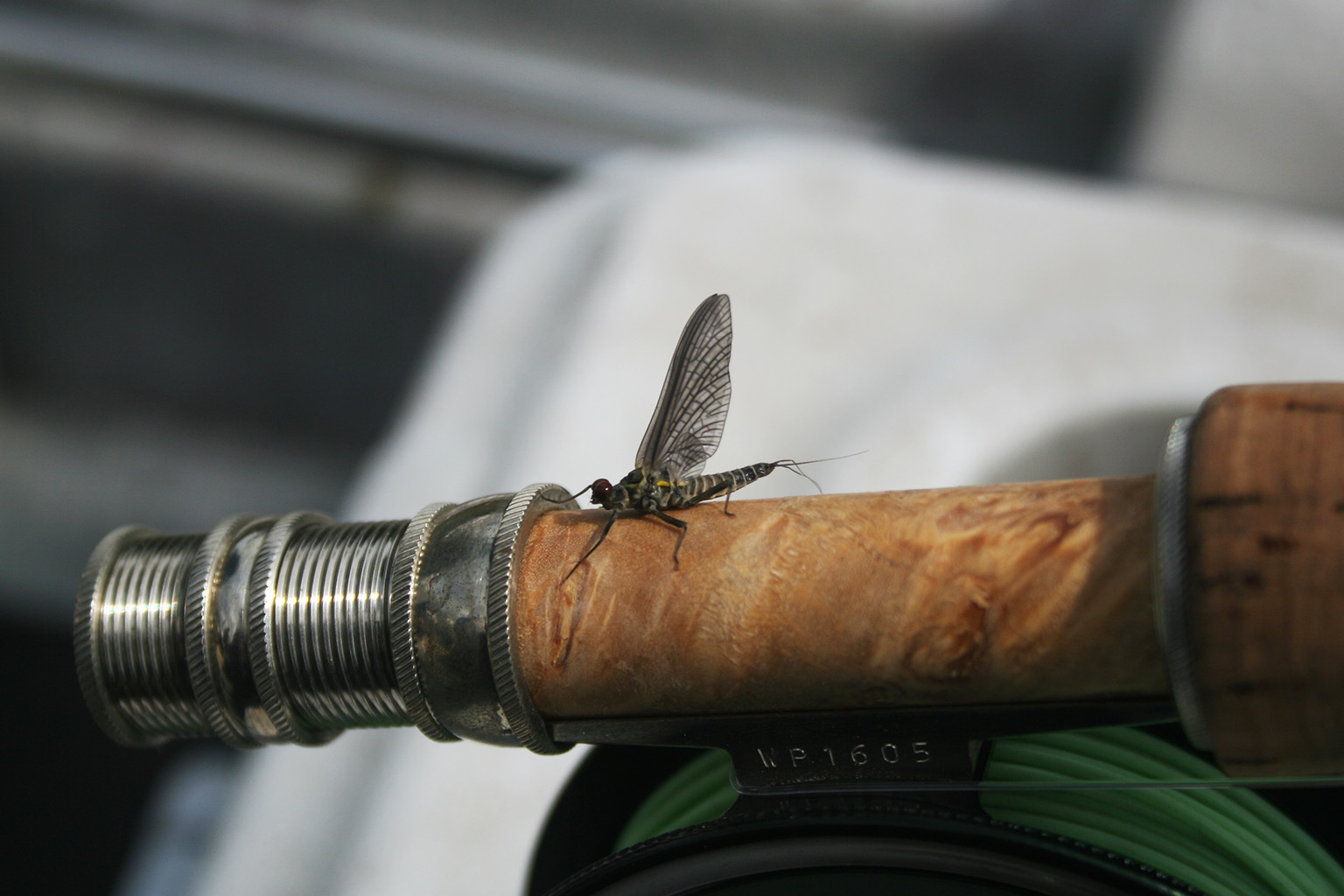 Montana Fly Fishing School, Missoula Fly Fishing School